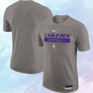 Camiseta Manga Corta Los Angeles Lakers Practice Performance 2022-23 Gris